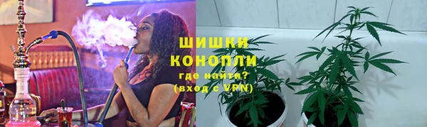 мдпв Ельня