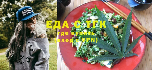 мдпв Ельня