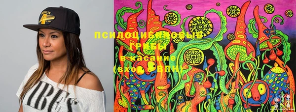 индика Елизово