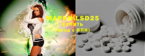 шишки Елабуга