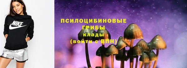 шишки Елабуга