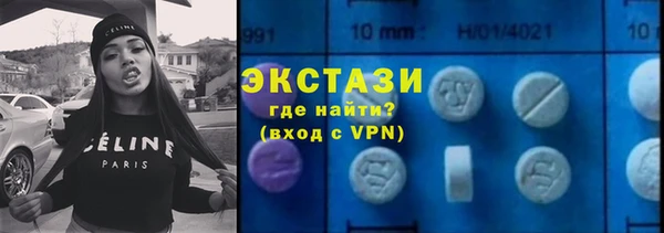 индика Елизово