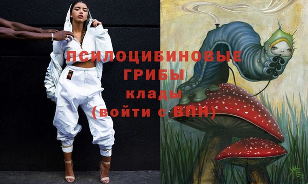 ешки Дмитровск