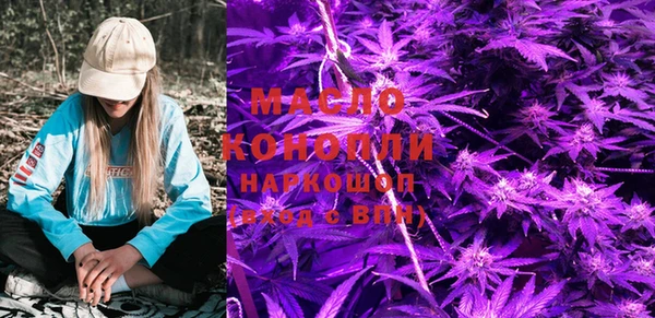 тгк Дмитров
