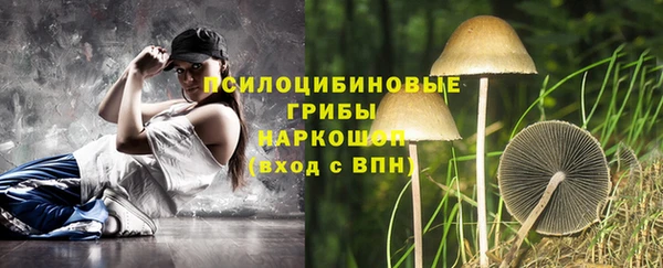 тгк Дмитров