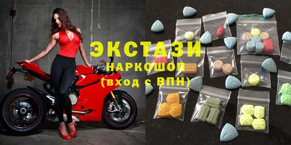 индика Елизово