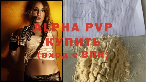 индика Елизово