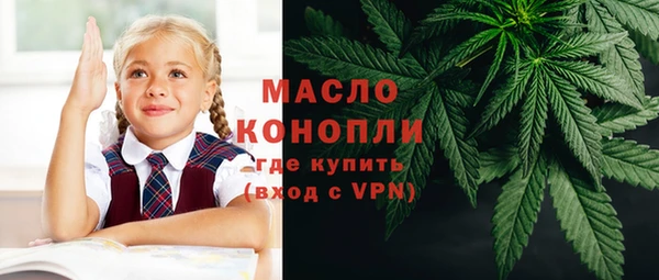 мдпв Ельня