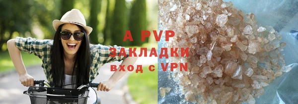 мдпв Ельня