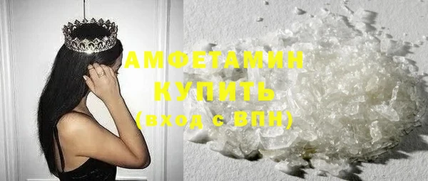 мдпв Ельня