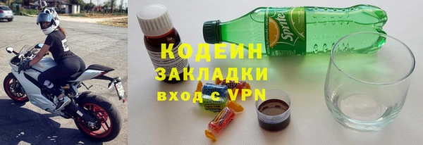 индика Елизово