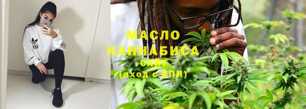 мдпв Ельня