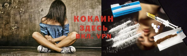 шишки Елабуга